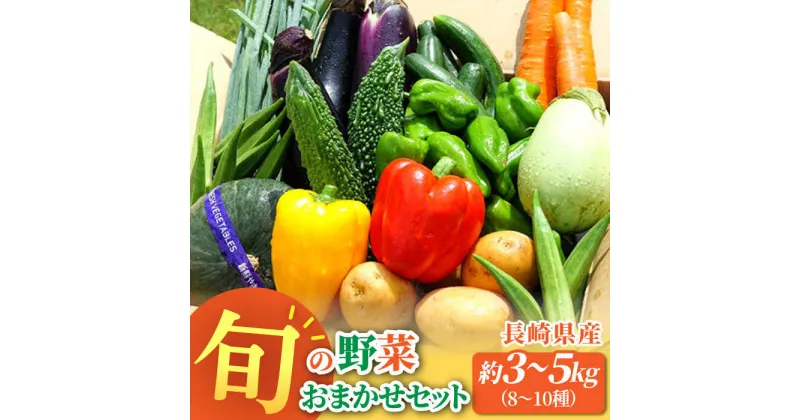 【ふるさと納税】大村産とれたてお野菜おまかせセット(8〜10種) / 季節 旬 春野菜 夏野菜 秋野菜 / 大村市 / かとりストアー[ACAN015]