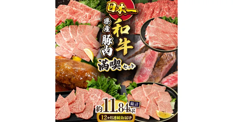 【ふるさと納税】【12回定期便】長崎和牛 満喫コース（焼肉・ハンバーグ・ステーキ）総量11.84kg / 牛肉 ハンバーグ モモ ロース 肩ロース リブロース すき焼き しゃぶしゃぶ 焼肉 焼き肉ステーキ / 大村市 / おおむら夢ファームシュシュ[ACAA104]