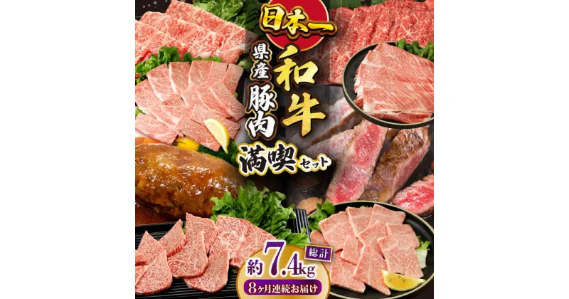 【ふるさと納税】【8回定期便】長崎和牛 満喫コース（焼肉・ハンバーグ・ステーキ）総量7.4kg / 牛肉 ハンバーグ モモ ロース 肩ロース リブロース すき焼き しゃぶしゃぶ 焼肉 焼き肉 サーロインステーキ サーロイン ステーキ / 大村市 おおむら夢ファームシュシュ[ACAA103]