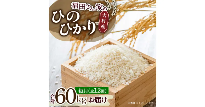 【ふるさと納税】【全12回定期便】お米5kg 定期便コース / 米 おこめ お米 白米 / 大村市 / 一般社団法人大村市物産振興協会[ACAB143]