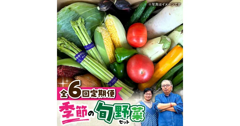 【ふるさと納税】【 全6回定期便/偶数月】農家自慢 季節の野菜セット / 詰め合わせ 野菜 やさい 野菜セット 野菜詰め合わせ 旬 春野菜 夏野菜 秋野菜 野菜定期便 / 大村市 / 産直松吉[ACZC002]