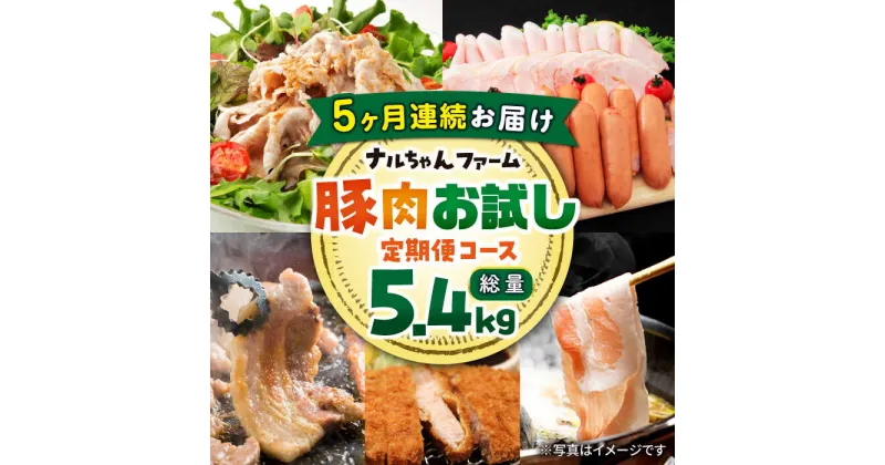 【ふるさと納税】【5回定期便】ナルちゃんファーム豚肉お試しコース 総量5.4kg（豚肉しゃぶしゃぶ・スライス・焼肉・とんかつ計4kg ハムセット1.4kg）/ 豚肉 ハム ウインナー ソーセージ ロース モモ バラ 豚肉定期便 / 大村市 / おおむら夢ファームシュシュ[ACAA075]