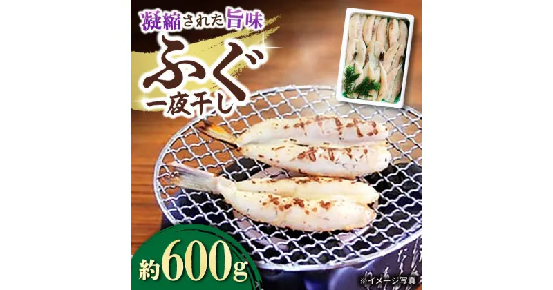 【ふるさと納税】ふぐ 一夜干し 600g / ふぐ フグ 一夜干し 河豚 干物 ひもの / 大村市 / 株式会社ナガスイ[ACYQ012]