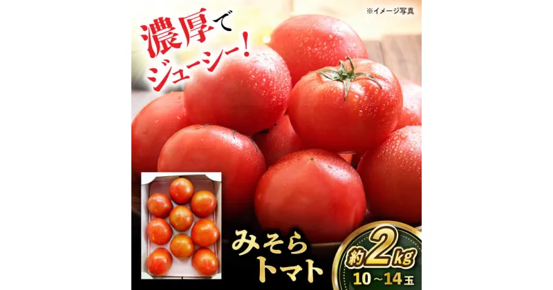 【ふるさと納税】【先行予約】みそらトマト 約2Kg前後（10〜14玉） / トマト とまと 野菜 やさい / 大村市 / 産直松吉[ACZC006]