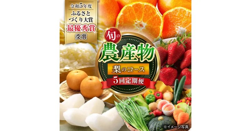 【ふるさと納税】【5回定期便】旬の農産物 梨コース / 野菜 やさい 果物 くだもの フルーツ ふるーつ 産地直送 なし 梨 ナシ フルーツ定期便 / 大村市 / おおむら夢ファームシュシュ[ACAA121]