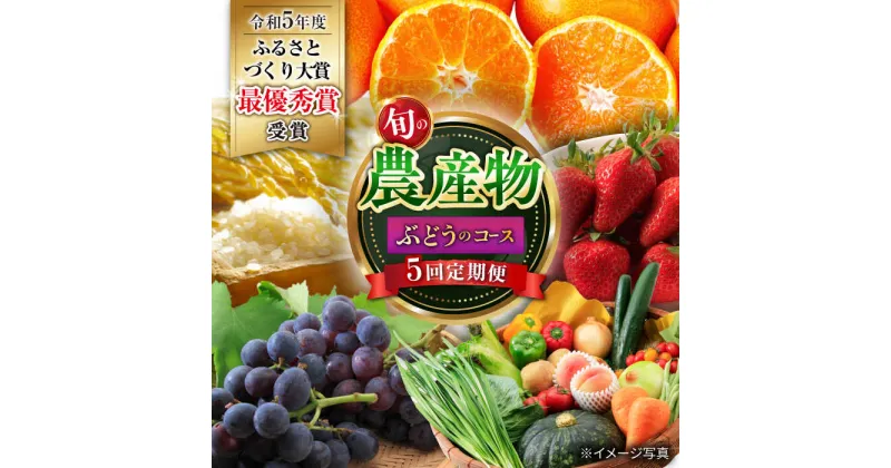 【ふるさと納税】【5回定期便】旬の農産物 ぶどうコース / 野菜 やさい 果物 くだもの フルーツ ふるーつ 産地直送 ぶどう 葡萄 ブドウ フルーツ定期便 / 大村市 / おおむら夢ファームシュシュ[ACAA120]