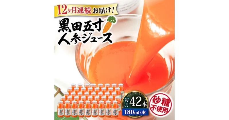 【ふるさと納税】【12回定期便】 黒田五寸人参ジュース180ml 42本セット 総計504本 / ジュース じゅーす にんじん ニンジン 人参 ニンジンジュース 人参ジュース 野菜ジュース やさいジュース ドリンク 飲料水 / 大村市 / おおむら夢ファームシュシュ[ACAA115]