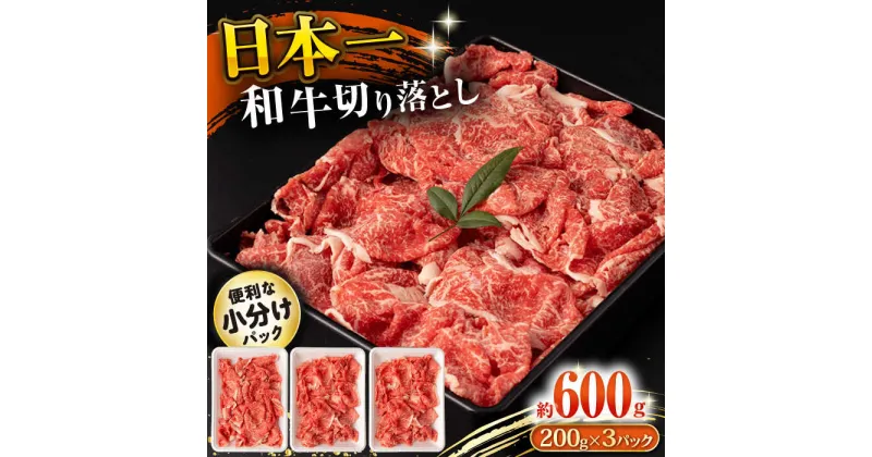 【ふるさと納税】長崎和牛 切り落とし肉 600g / 牛肉 切り落とし 切落し きりおとし すき焼き すきやき しゃぶしゃぶ 小分け / 大村市 / おおむら夢ファームシュシュ[ACAA140]