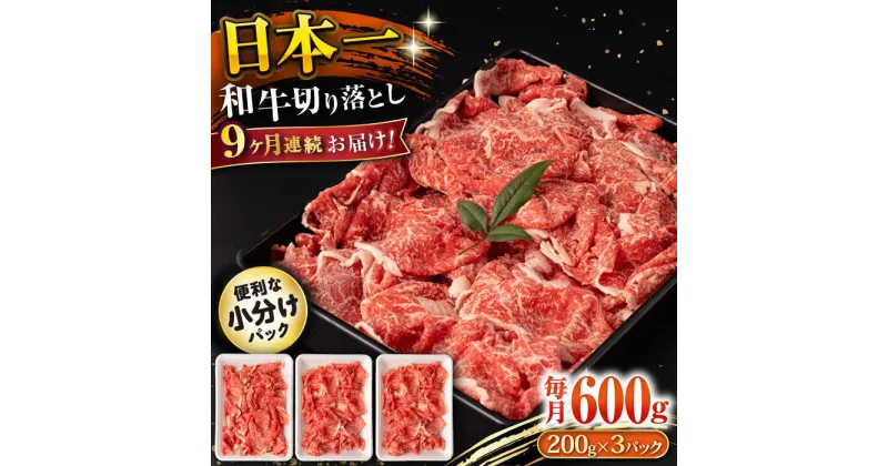 【ふるさと納税】【9回定期便】長崎和牛 切り落とし 600g/月（総計5.4kg） / 牛肉 切り落とし 切りおとし きりおとし すき焼き 小分け / 大村市 / おおむら夢ファームシュシュ[ACAA224]