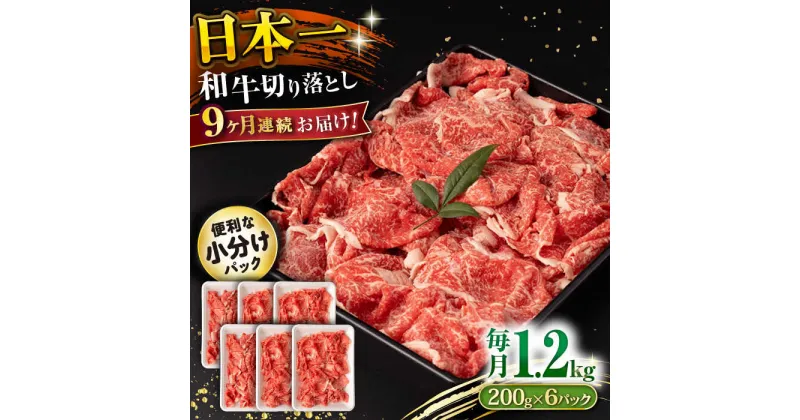 【ふるさと納税】【9回定期便】長崎和牛 切り落とし 1.2kg/月（総計10.8kg） / 牛肉 切り落とし 切りおとし きりおとし すき焼き 小分け / 大村市 / おおむら夢ファームシュシュ[ACAA236]