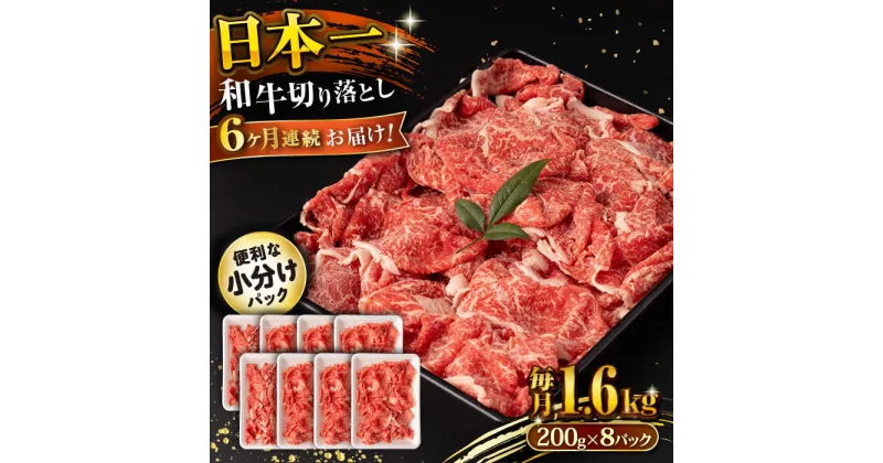 【ふるさと納税】【6回定期便】長崎和牛 切り落とし 1.6kg/月（総計9.6kg） / 牛肉 切り落とし 切りおとし きりおとし すき焼き 小分け / 大村市 / おおむら夢ファームシュシュ[ACAA243]