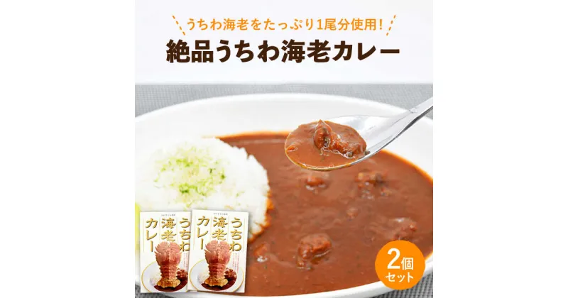 【ふるさと納税】【時間指定 可能】【出汁も身もうちわ海老！！】絶品 うちわ海老カレー（2食セット） [KAA205]