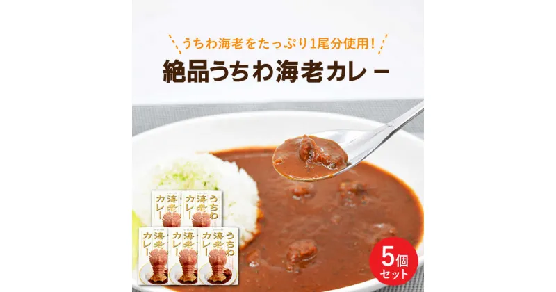 【ふるさと納税】【時間指定 可能】【出汁も身もうちわ海老！！】絶品 うちわ海老カレー（5食セット） [KAA206]