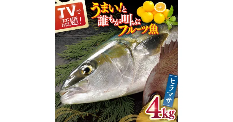 【ふるさと納税】ヒラス（ヒラマサ） 平戸なつ香 約4kg 平戸市 / 坂野水産 [KAA001] 鮮魚 魚介 夏香 みかん オレンジ レシピ付き ひらす ひらまさ ヒラス ヒラマサ 鮮魚 刺身