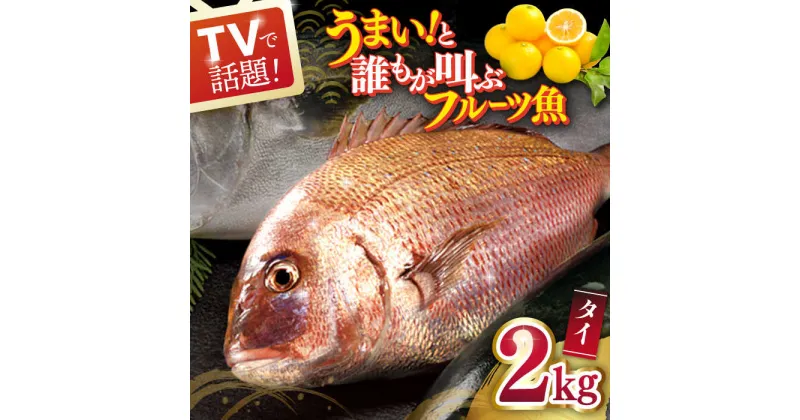 【ふるさと納税】タイ 平戸なつ香 約2kg 平戸市 / 坂野水産 [KAA002] 魚 ブランド たい 鯛 鮮魚 魚介 海鮮 夏香 みかん オレンジ レシピ付き 刺身