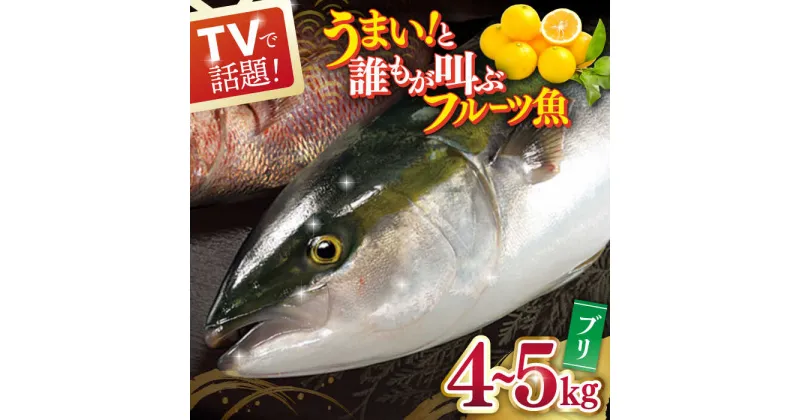 【ふるさと納税】ブリ 平戸なつ香 約4～5kg【坂野水産】 鮮魚 夏香 なつ香 [KAA003] ブリ ぶり 鮮魚 刺身 長崎 長崎県