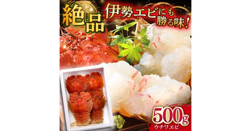 【ふるさと納税】【選べる配送月】平戸 ウチワエビ 三昧 500g【平戸さくら水産】[KAA151]