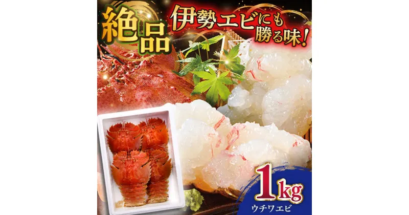 【ふるさと納税】【選べる配送月】平戸 ウチワエビ 三昧 1000g【平戸さくら水産】 [KAA152]