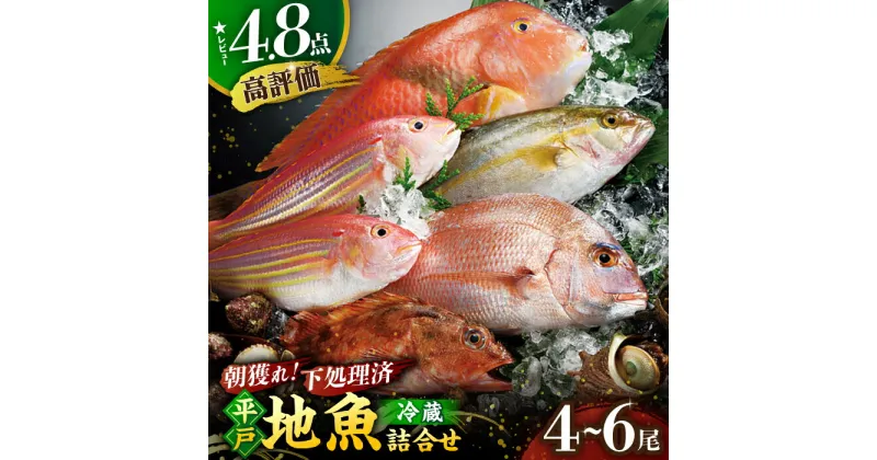 【ふるさと納税】【選べる発送月】平戸 地魚 詰合せ 4～6尾 【平戸瀬戸市場協同組合】 [KAA153] 発送時期が選べる