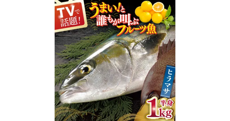 【ふるさと納税】ヒラス（半身） 平戸なつ香 約1kg 平戸市 / 坂野水産 [KAA207] 夏香 魚介 海鮮 鮮魚 新鮮 ヒラス ヒラマサ レシピ付き 長崎県 刺身