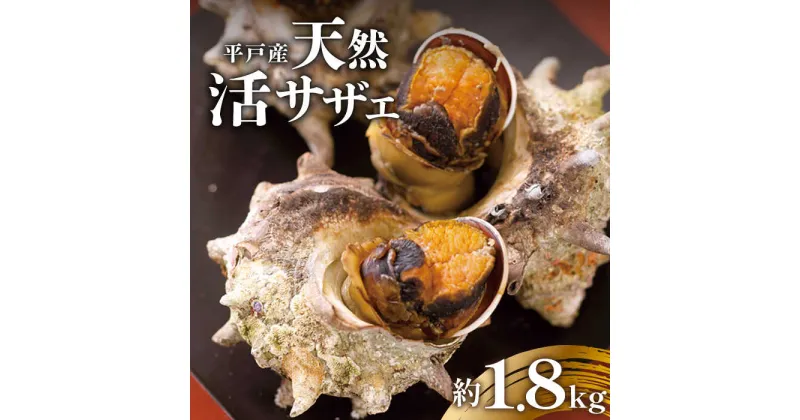 【ふるさと納税】天然 活 サザエ 約1.8kg (10〜13個) 【ひらど新鮮市場】[KAB006]