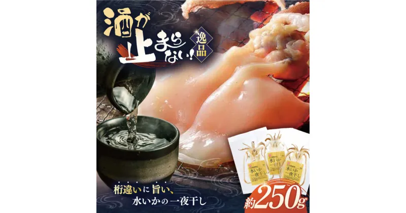 【ふるさと納税】【身が厚く柔らかい】漁師の水烏賊一夜干し 約250g（2～3枚） 平戸市 / 中野漁業協同組合 [KAB062] 干物 乾物 イカ 一夜干し