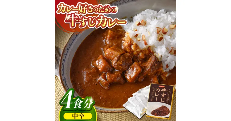 【ふるさと納税】【とろっとろになるまで煮込んだ】牛すじカレー 4食セット（中辛） 平戸市 / カレー工房 NVfoods [KAB104] カレー レトルト 牛すじ 肉 牛肉