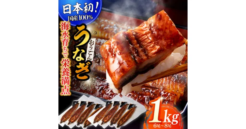 【ふるさと納税】【日本初！海水で養殖】長崎県産おうごんうなぎ松セット 約1kg（6尾～8尾） 平戸市 / 松永水産 [KAB128] 魚介 鮮魚 新鮮 鰻 ウナギ 大容量