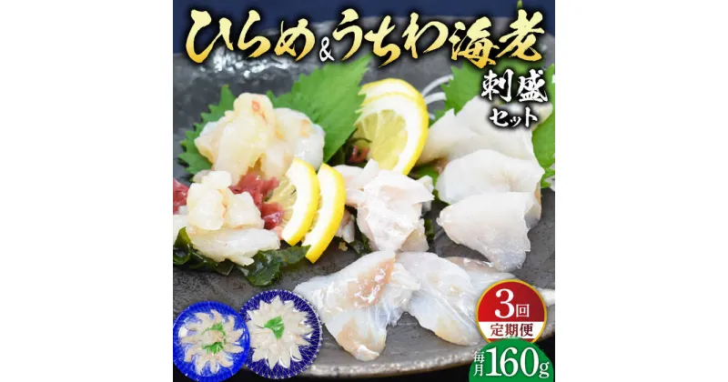 【ふるさと納税】【全3回定期便】ひらめ&うちわ海老の刺盛セット 計480g(約160g×3回) 平戸市 / 平戸さくら水産 [KAA245] 新鮮 魚介 海鮮 盛り合わせ 刺身 ヒラメ ウチワエビ 3回 定期便