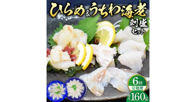 【ふるさと納税】【全6回定期便】ひらめ&うちわ海老の刺盛セット 計960g(約160g×6回) 平戸市 / 平戸さくら水産 [KAA246] 新鮮 魚介 海鮮 盛り合わせ 刺身 ヒラメ ウチワエビ 6回 定期便