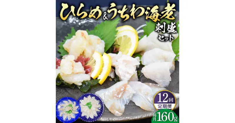 【ふるさと納税】【全12回定期便】ひらめ&うちわ海老の刺盛セット 計1920g(約160g×12回) 平戸市 / 平戸さくら水産 [KAA247] 新鮮 魚介 海鮮 盛り合わせ 刺身 ヒラメ ウチワエビ 12回 定期便