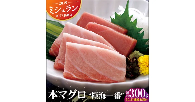 【ふるさと納税】【全12回定期便】本マグロ 極海一番 計3.6kg（約300g×12回）平戸市 / 囲炉裏料理 エビス亭 [KAC100] 鮪 まぐろ マグロ 魚 赤身 中トロ 大トロ 料亭 ミシュラン