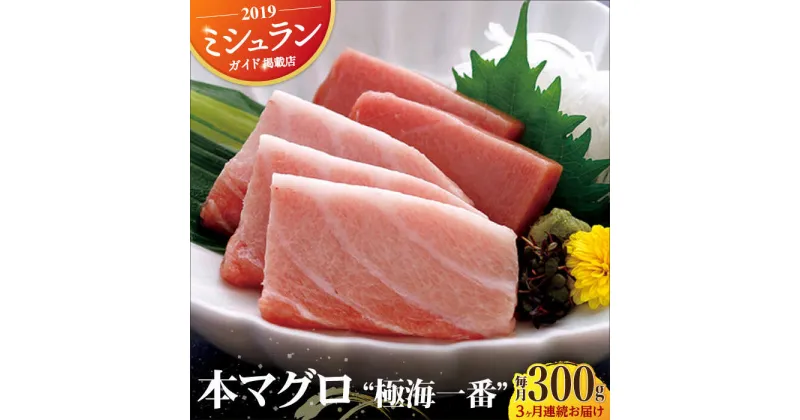 【ふるさと納税】【全3回定期便】本マグロ 極海一番 計900g （約300g×3回） 平戸市 / 囲炉裏料理 エビス亭 [KAC135]