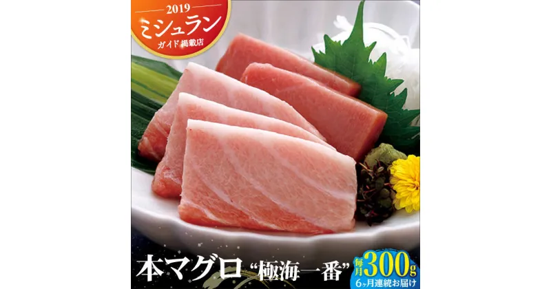 【ふるさと納税】【全6回定期便】本マグロ 極海一番 計1.8kg （約300g×6回） 平戸市 / 囲炉裏料理 エビス亭 [KAC136]