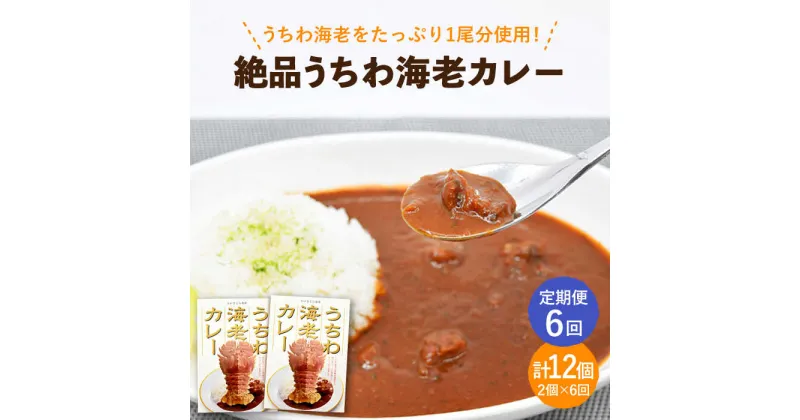 【ふるさと納税】【全6回定期便】【うちわ海老1尾分！！】絶品 うちわ海老カレー 計12個（2個セット/回） 平戸市 [KAA292] えび エビ うちわえび 贅沢 たっぷり 海鮮 カレー 6回 定期便