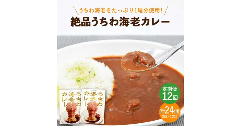 【ふるさと納税】【全12回定期便】【うちわ海老1尾分！！】絶品 うちわ海老カレー 計24個（2個セット/回） 平戸市 [KAA293] えび エビ うちわえび 贅沢 たっぷり 海鮮 カレー 12回 定期便