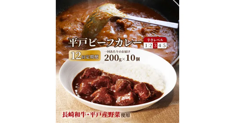 【ふるさと納税】【全12回定期便】平戸ビーフカレー 計120食（10食×12回）「中辛」平戸市 / カレー工房 NVfoods [KAB192] レトルト 長崎和牛 常備食 牛肉