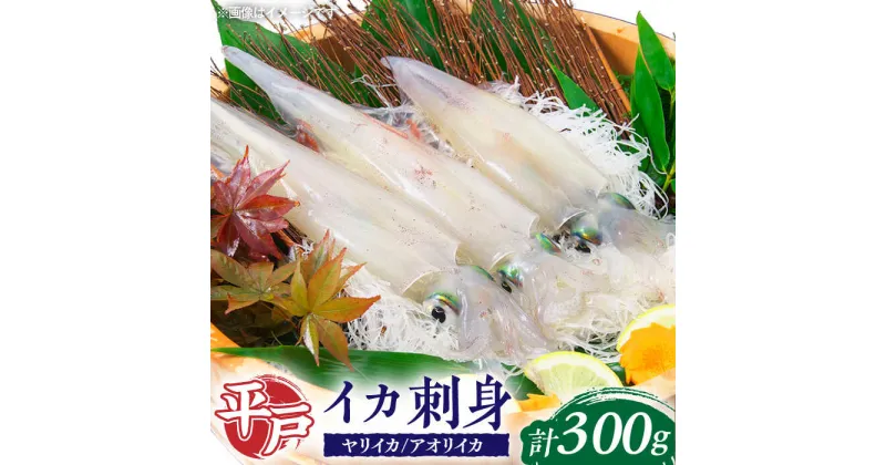 【ふるさと納税】【鮮度抜群】甘くて身がコリコリ！平戸 イカ 刺身 約300g 【百旬館】[KAK053] いか さしみ 海鮮 鮮魚 魚介 九州 長崎