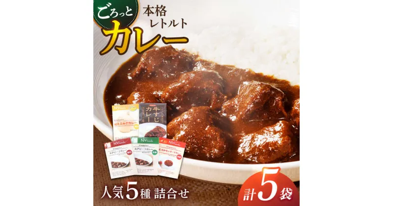 【ふるさと納税】【カレー好きの為のアソートセット】カレー工房NVfoodsのカレー5種詰め合わせセット[KAB220]