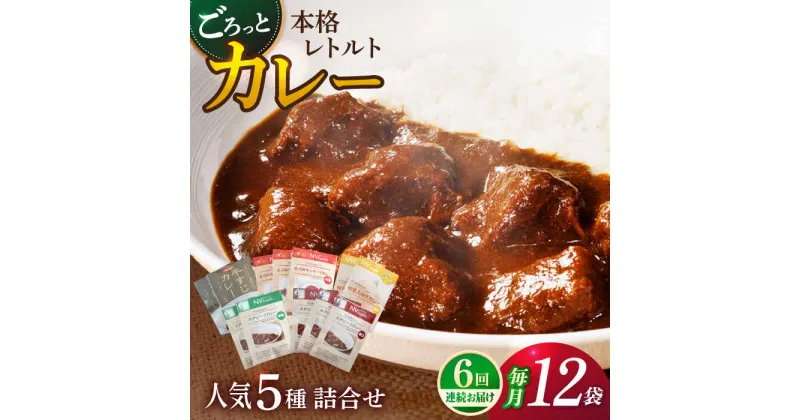 【ふるさと納税】【全6回定期便】【カレー好きのためのアソートセット】カレー工房NVfoodsのカレー5種（12袋）詰め合わせセット [KAB289]