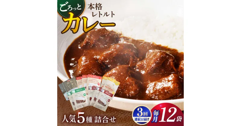 【ふるさと納税】【全3回定期便】【カレー好きのためのアソートセット】カレー工房NVfoodsのカレー5種（12袋）詰め合わせセット [KAB288]