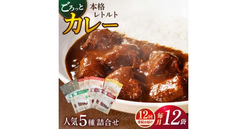 【ふるさと納税】【全12回定期便】【カレー好きのためのアソートセット】カレー工房NVfoodsのカレー5種（12袋）詰め合わせセット [KAB290]