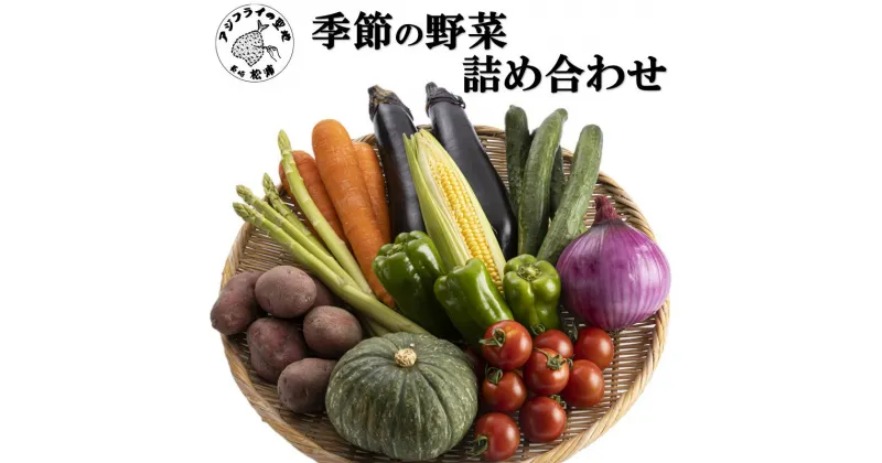 【ふるさと納税】季節の野菜詰め合わせ【A9-009】 野菜 季節の野菜 季節の果物 セット 産地直送 新鮮 トマト ニンジン ブロッコリー ジャガイモ 白菜 春野菜農家 季節 サラダ 新鮮 セット やさい 送料無料 夏 松浦市 九州 詰め合わせ おまかせ お歳暮