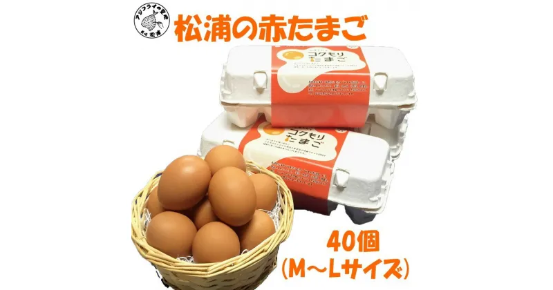 【ふるさと納税】養鶏場直送!松浦の赤たまご(40個)【B1-125】 卵 たまご 赤たまご 玉子 鶏卵 松浦 国産 たまごかけごはん 生卵 あか卵 大 M L ギフト 贈答 大容量 送料無料 お歳暮