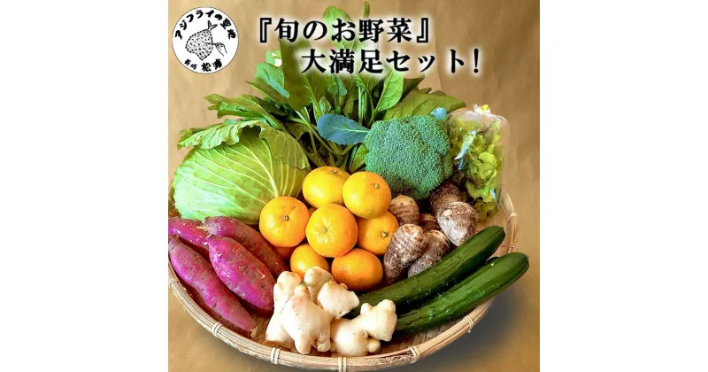 【ふるさと納税】道の駅松浦海のふるさと館『旬のお野菜』の大満足セット！【A7-053】 産地直送 野菜 やさい 旬 セット 詰め合わせ 季節 サラダ 送料無料 松浦 九州 長崎県 送料無料