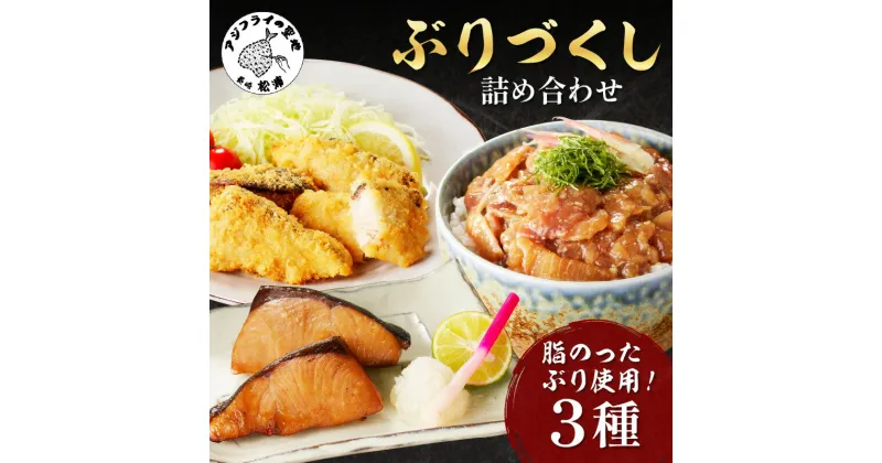 【ふるさと納税】ぶりづくし詰合せ【B4-068】 ブリ 鰤 ぶり フライ みりん漬 漬け丼 揚げ物 セット 詰め合わせ ご飯のおかず 魚 魚介類 海産物 海の幸 送料無料