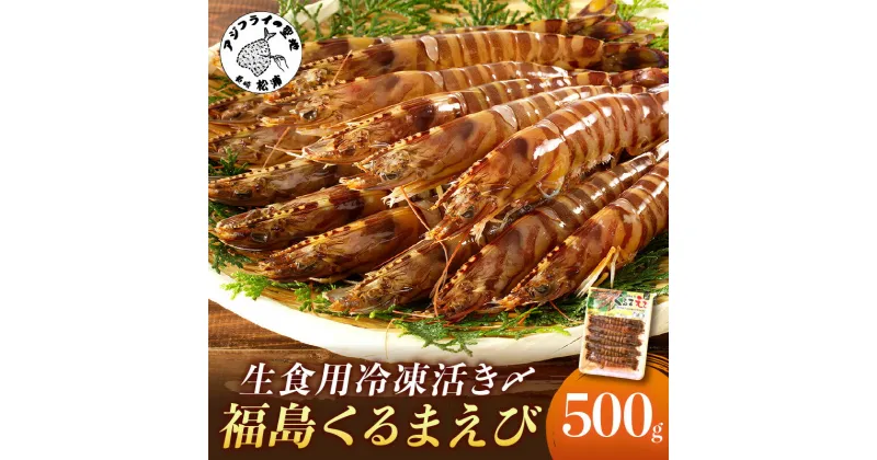 【ふるさと納税】生食用冷凍活き〆福島くるまえび500g【B2-134】 ふるさと納税 車海老 長崎 ふるさと納税 車エビ ふるさと納税 クルマエビ くるまえび えび エビ 海老 生食用 甲殻類 海産物 お刺身 冷凍 活き車えび お歳暮