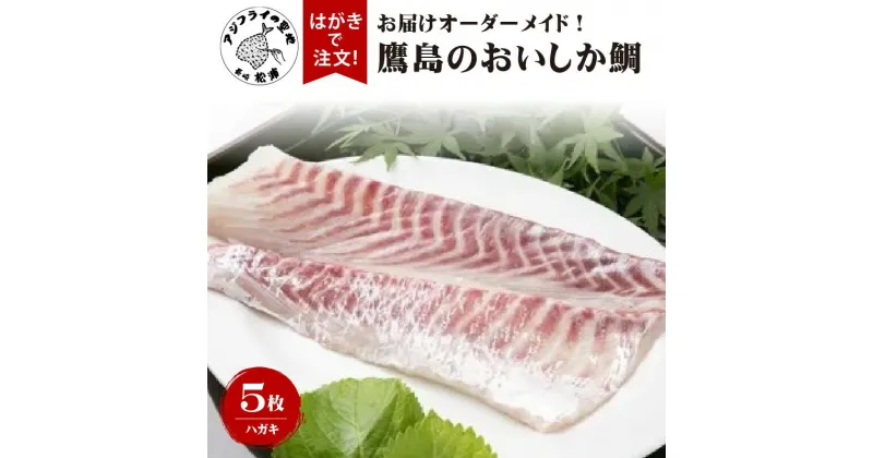 【ふるさと納税】お届けオーダーメイド！鷹島のおいしか鯛1.2kg×5【I0-013】 タイ 鯛 真鯛 マダイ 贈答用 真空パック 魚 刺身 アラ 煮付 お歳暮