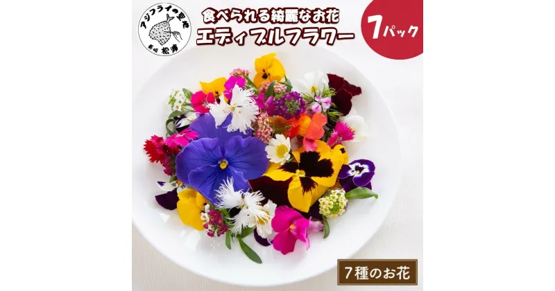 【ふるさと納税】食べられる綺麗なお花 エディブルフラワー【B1-129】 花 お花 フラワー エディブルフラワー 食用花 食用 お歳暮