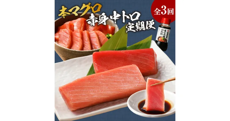 【ふるさと納税】【全3回定期便】鷹島産本まぐろ 中トロと赤身合わせて350g【E2-005】定期便 海鮮 本まぐろ まぐろ 本マグロ マグロ 鮪 中トロ 赤身 松浦市